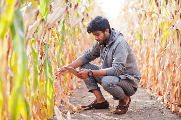 Zuid-Aziatische landbouwkundige boer inspecteert maïsveld boerderij Landbouwproductieconcept