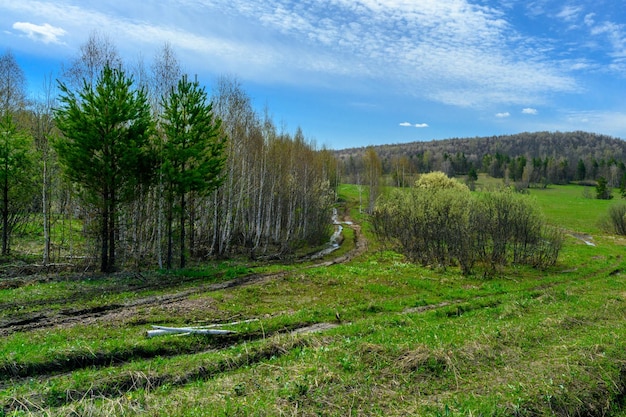 Zuid-Oeral-bosweg met een unieke landschapsvegetatie en diversiteit aan natuur