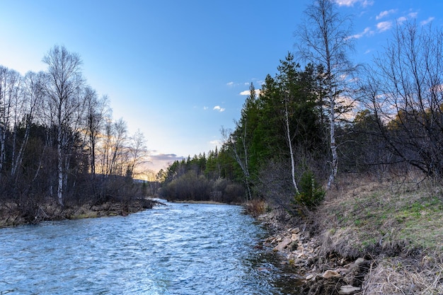 Zuid-Oeral ruige rivier met een unieke landschapsvegetatie en diversiteit aan natuur