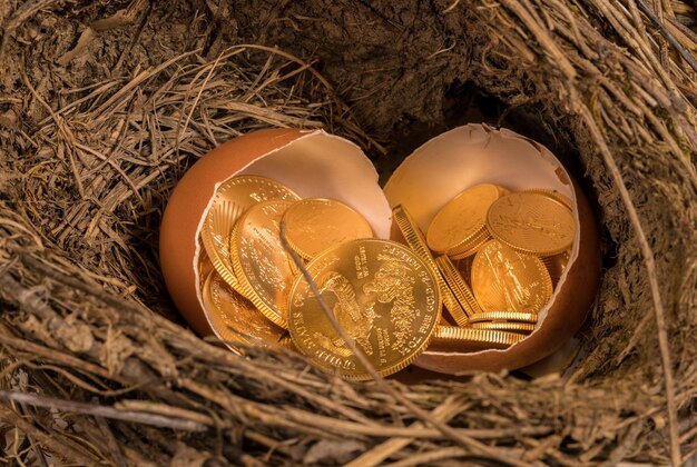 Zuiver gouden munten in eierschaal ter illustratie van nestei