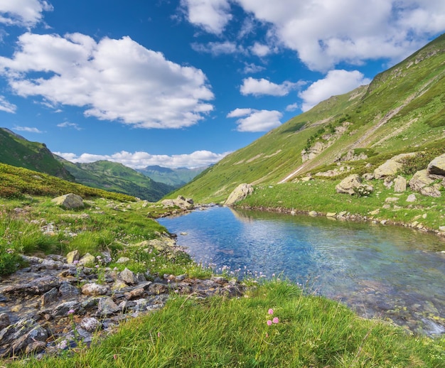 Zuivere rivier in bergdal