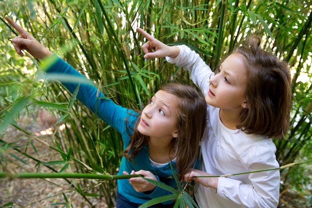 zus tweeling meisjes spelen in de natuur wijzende vinger