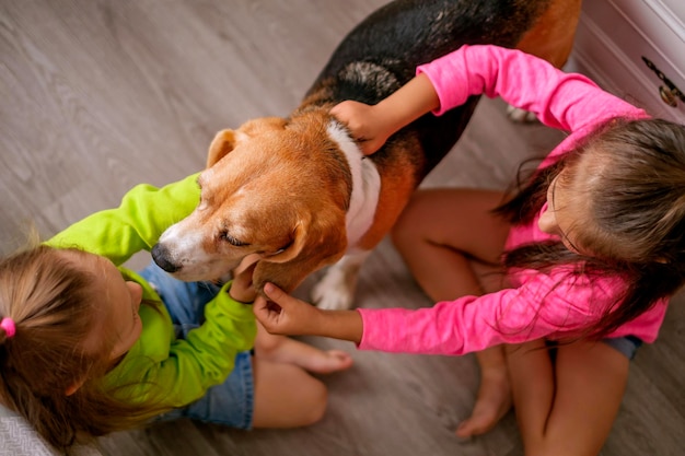 Foto zuster speelt met hond die haar streelt zittend op de vloer in de kamer