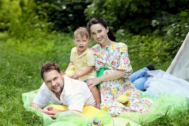 Zwangere moeder vader en zoontje op een picknick in het park