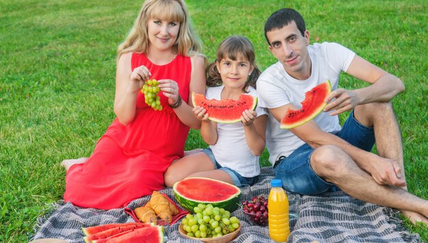 Zwangere vrouw op een picknick