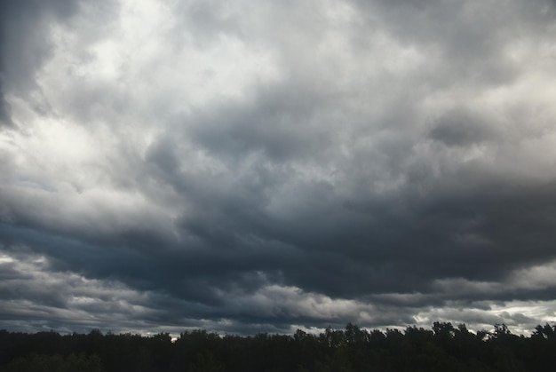 Zware donkere lage wolken boven bos voor onweer