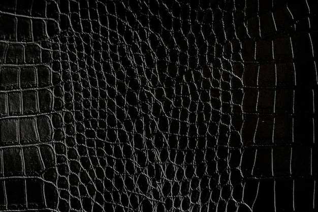 Zwart krokodillenleer textuur met voor achtergrond.