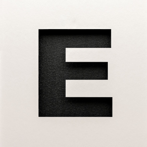 Zwart leer lettertype ontwerp, abstract alfabet lettertype, realistische typografie - E.