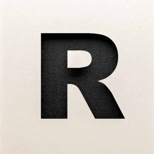 Zwart leer lettertype ontwerp, abstract alfabet lettertype, realistische typografie - R.