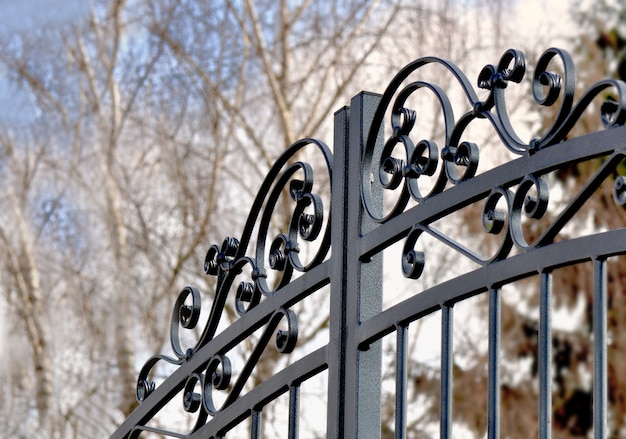 zwart metalen hek gesloten op een eigen tuin