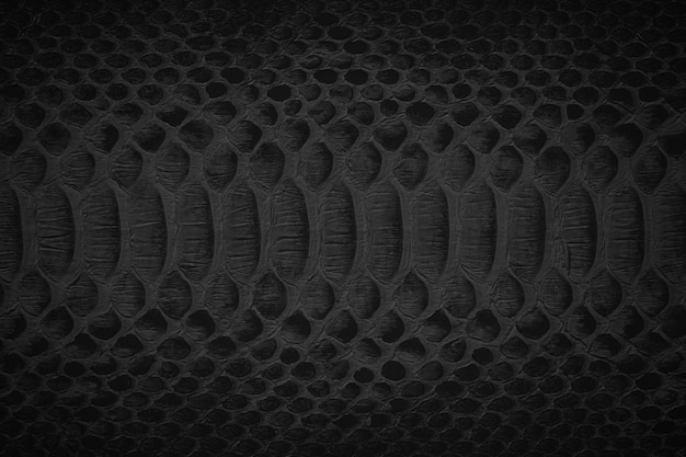 Foto zwart slangenleer textuur reptielenleer als achtergrond