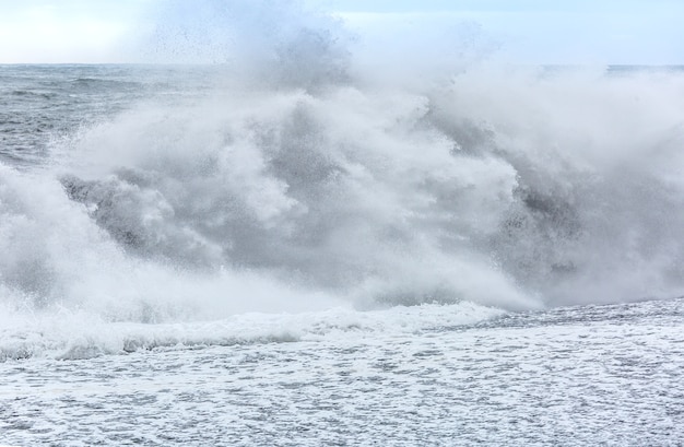 Zwart strand IJsland