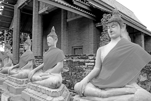 Zwart-wit beeld van de rij van de Boeddha-afbeeldingen in de Wat Yai Chai Mongkhon-tempel in Ayutthaya, Thailand