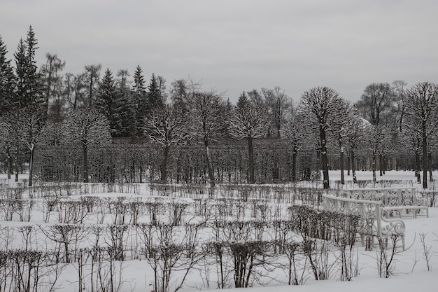 Zwart-wit besneeuwde geometrie Catherine Park