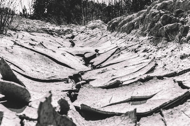 Zwart-witfoto van gebarsten grond vanuit een lage hoek tegen de achtergrond van een bos