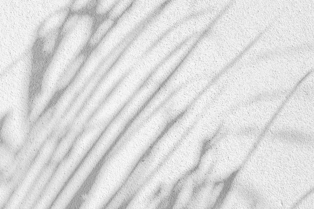 Zwart-witte abstracte textuur als achtergrond van schaduwenblad op een concrete muur