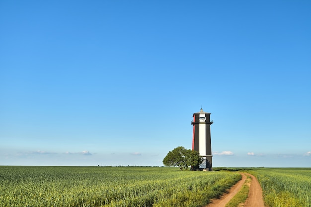 Zwart-witte vuurtoren in een tarwegroen veld