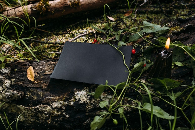 Zwarte ambachtelijke papieren mockup zwarte kaars op de achtergrond van de magische natuur van het bos