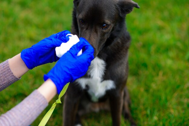 Zwarte bastaardhond met zijn eigenaar in openlucht