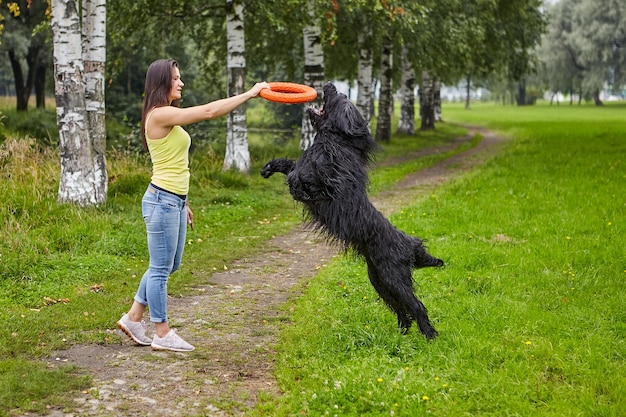 Zwarte briard speelt met speelgoed en zijn vrouwelijke eigenaar tijdens het wandelen.