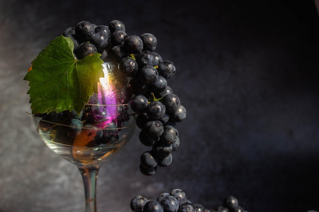 Zwarte druiven Isabella ligt in een wijnglas