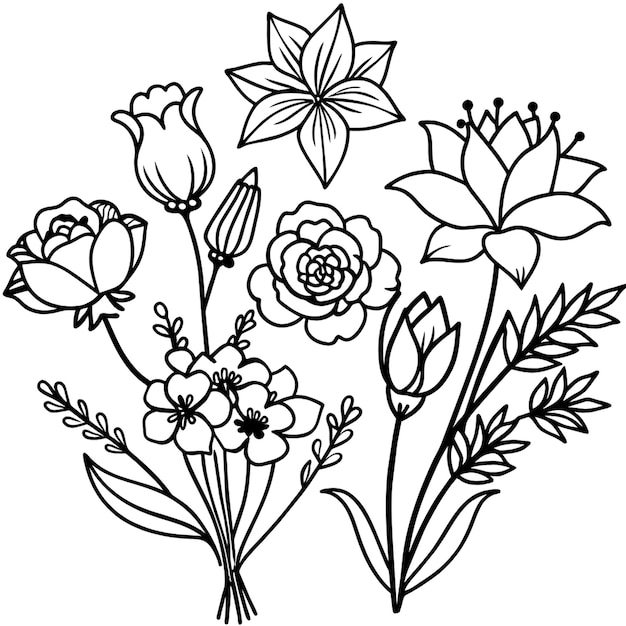 zwarte en witte tekening bloemen witte achtergrond kleur schilderij