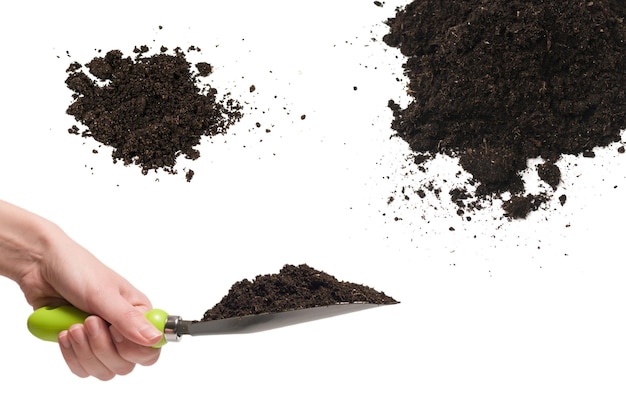 Zwarte grond voor plantenachtergrond