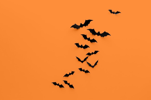 zwarte halloween vleermuizen op oranje achtergrond