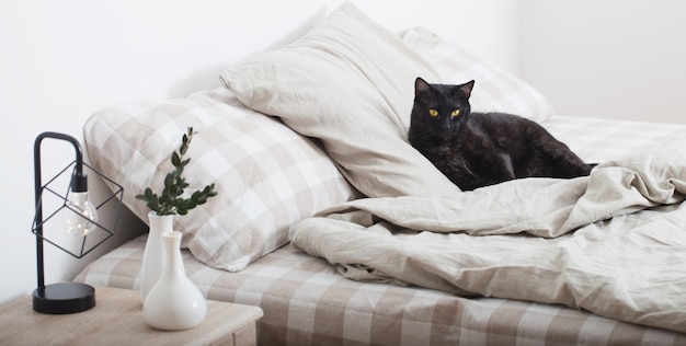 Zwarte kat op bed in de slaapkamer