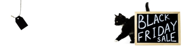 Zwarte kitten komt uit achter een bord met een wit krijt inscriptie black friday sale geïsoleerd op een witte achtergrond