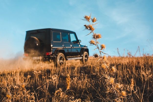 Zwarte offroader in de velden met blauwe hemel