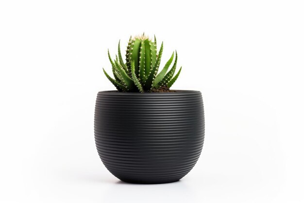 Zwarte pot met groene plant op een witte of heldere oppervlakte PNG Transparante achtergrond