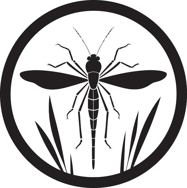 Zwarte schoonheid Insect ontwerp Vector griezelig Crawler embleem