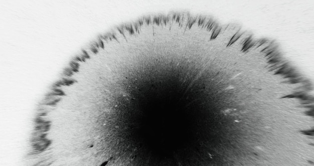 Zwarte verfdruppel op wit papier splatter overlay