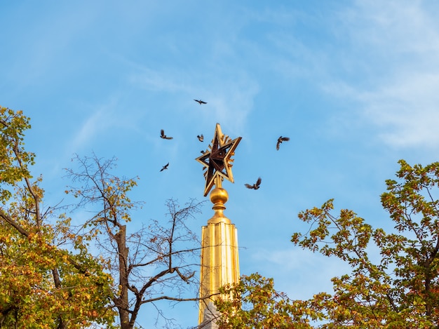 Zwarte vogels vliegen rond de torenspits, VDNH, Moskou.