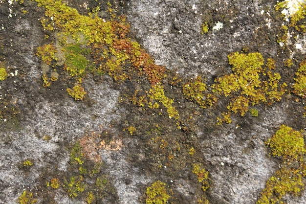 Zwarte weg oude achtergrond of textuur, asfalt