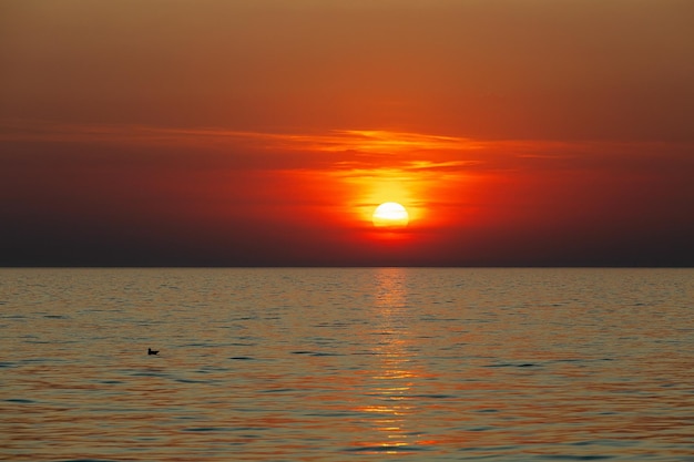 Zwarte zee zonsondergang achtergrond Oekraïne