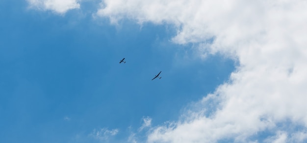 Zweefvliegtuigen vliegen in de lucht