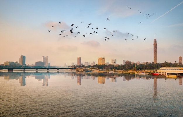 Zwerm vogels over de rivier de Nijl