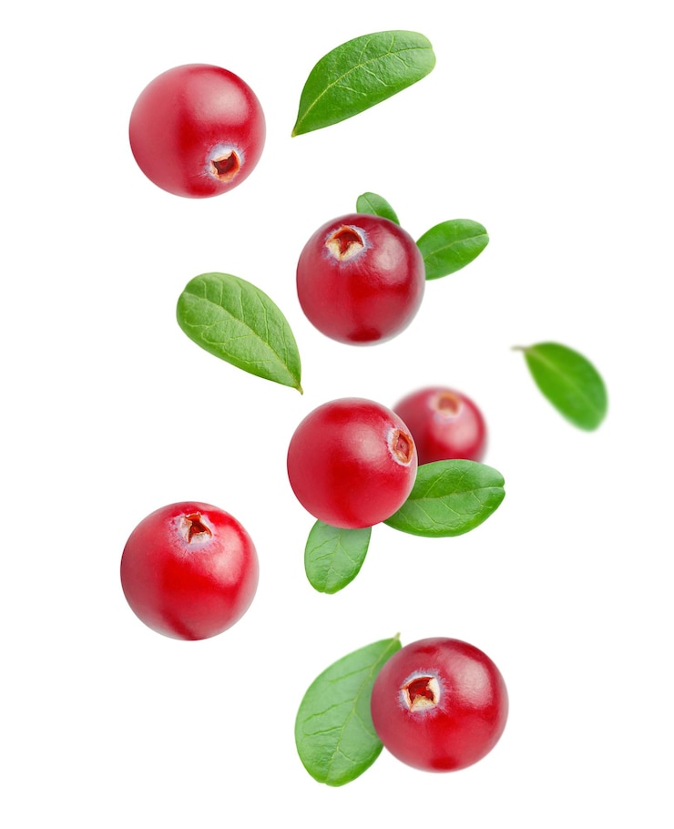 Foto zwevende cranberry met bladeren op een witte geïsoleerde achtergrond