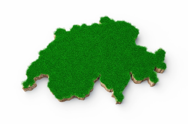 Zwitserland kaart bodem land geologie dwarsdoorsnede met groen gras en rotsgrond textuur 3d