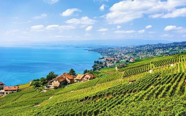 Zwitsers dorp in de buurt van het wandelpad Lavaux Vineyard Terraces, het meer van Genève en de Zwitserse bergen, het district Lavaux-Oron, Zwitserland