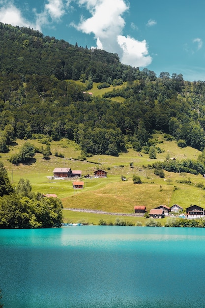 Zwitserse Alpen bergen heuvels bosvelden klein traditioneel Zwitsers dorp aan het turquoise meer