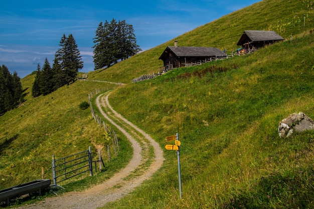 Zwitserse Alpen landschap