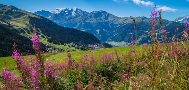 Zwitserse Alpen landschap