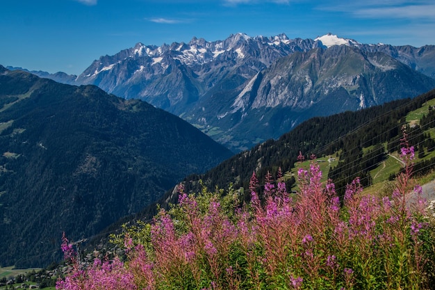 Zwitserse Alpen landschap