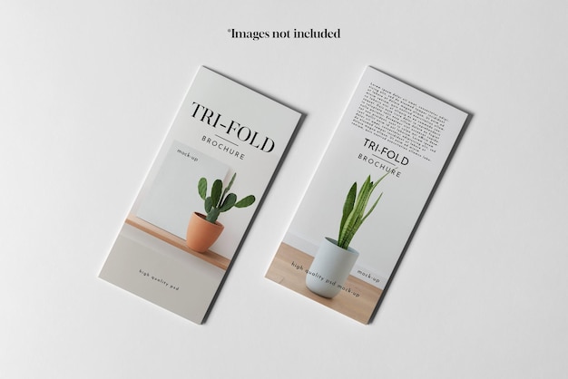 01_trifold Dl Brochura Mockup 3