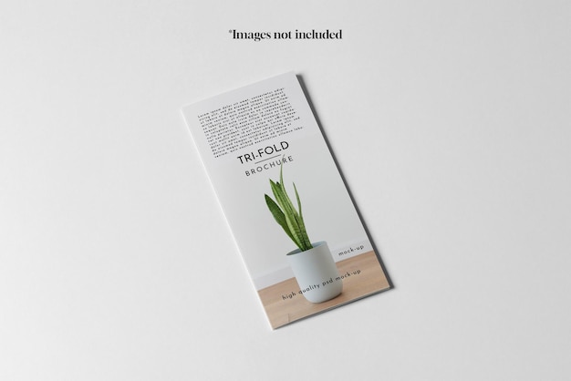 03_TriFold DL-brochuremodel 3
