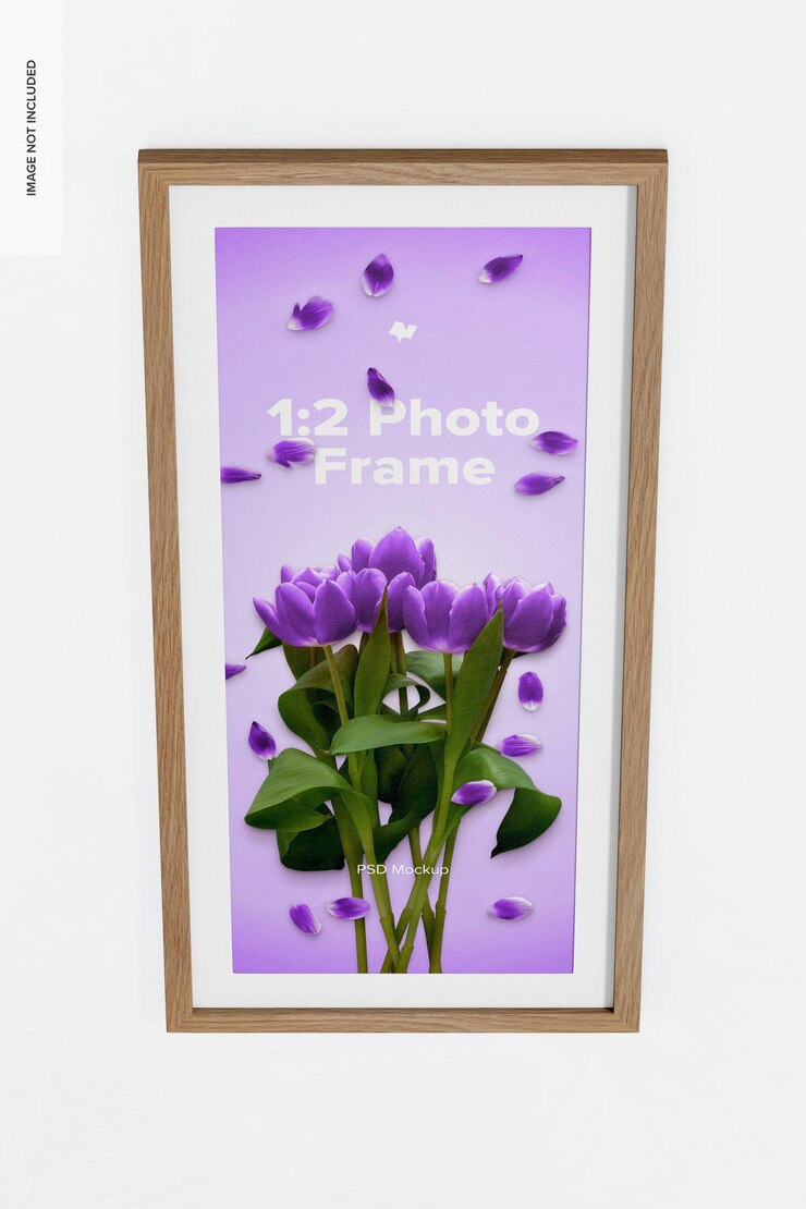 PSD 1:2 fotolijstmodel