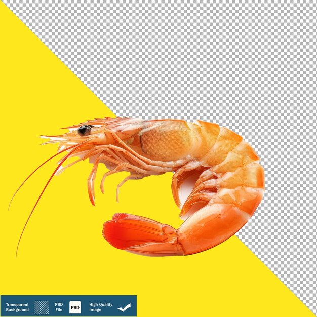 PSD 1 shrimp on white background stylized 50 vibrant illustration transparent background png psd